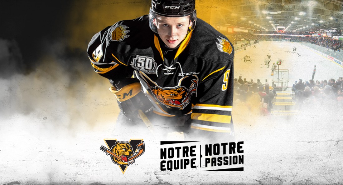 VINCENT SÉVIGNY TIGRE